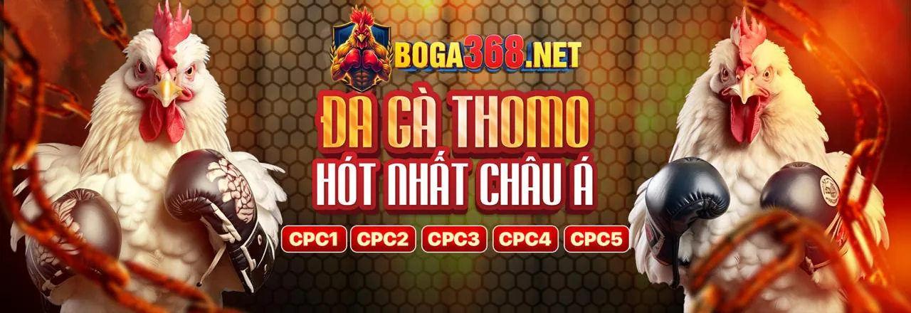 Tổng quan nền tảng debet 2